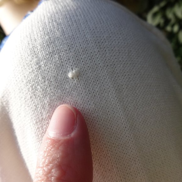 C. Wonder Blue & White Floral Vine Sweater - NWOT - Picture 6 of 7